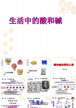 九年级化学第一节 生活中的酸和碱课件
