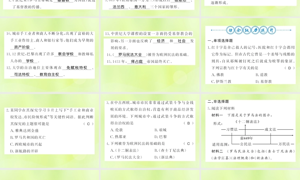 九年级历史上册 第3单元 封建时代的欧洲整理与复习习题课件 新人教版 课件