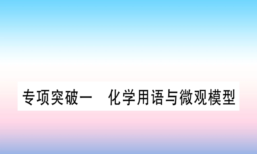 (甘肃专用)中考化学 专题突破一 化学用语与微观模型(提分精练)课件