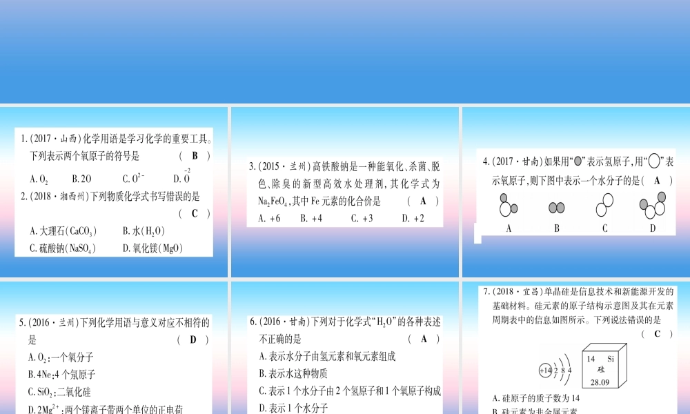 (甘肃专用)中考化学 专题突破一 化学用语与微观模型(提分精练)课件