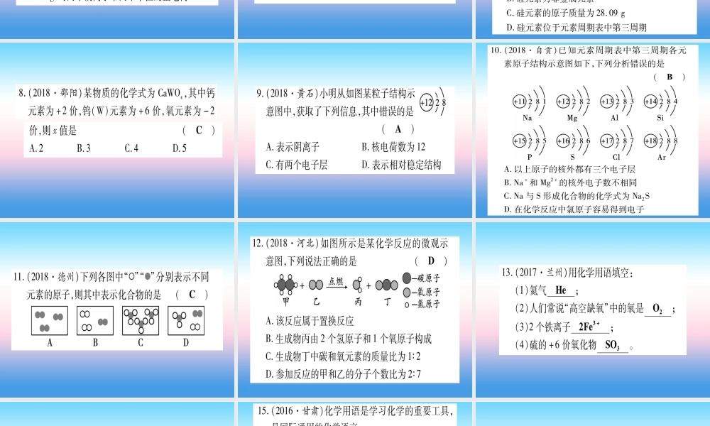 (甘肃专用)中考化学 专题突破一 化学用语与微观模型(提分精练)课件