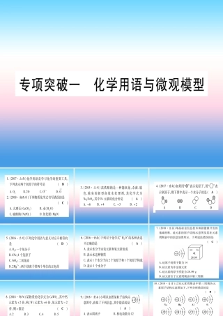 (甘肃专用)中考化学 专题突破一 化学用语与微观模型(提分精练)课件