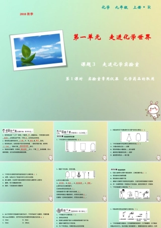 九年级化学上册 第1单元 走进化学世界 课题3 走进化学实验室 第1课时 实验室常用仪器 化学药品的取用作业课件 (新版)新人教版 课件