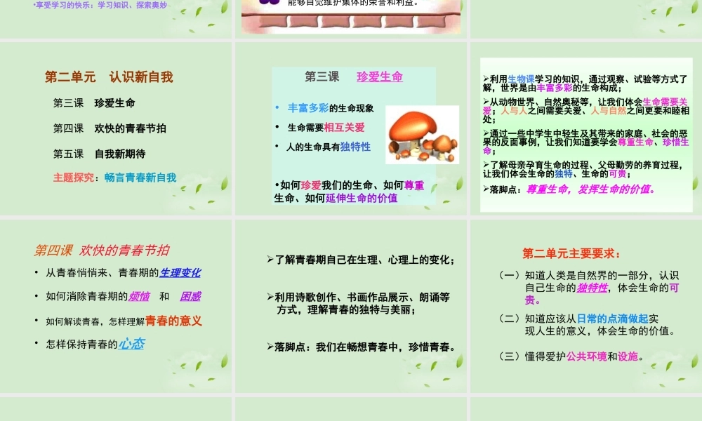 七年级政治 半期复习课件 人教新课标版 课件