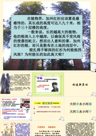 七年级政治 第一课第二框创建新集体 课件 人教新课标版 课件