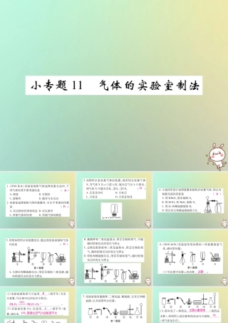 九年级化学上册 小专题11 气体的实验室制法课件 (新版)新人教版 课件