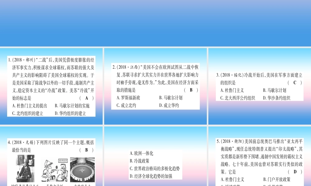 (云南专用)中考历史总复习 第一篇 考点系统复习 板块5 世界现代史 主题三 第二次世界大战后的世界(精练)课件