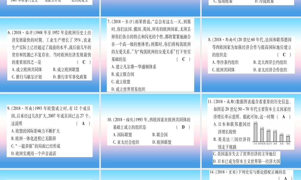 (云南专用)中考历史总复习 第一篇 考点系统复习 板块5 世界现代史 主题三 第二次世界大战后的世界(精练)课件