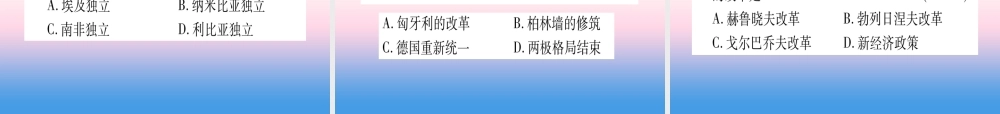 (云南专用)中考历史总复习 第一篇 考点系统复习 板块5 世界现代史 主题三 第二次世界大战后的世界(精练)课件