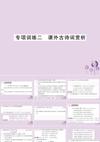 (贵州专版)中考语文复习 第二轮 古诗文阅读 专题十 文言文阅读 专项训练二 课外古诗词赏析课件