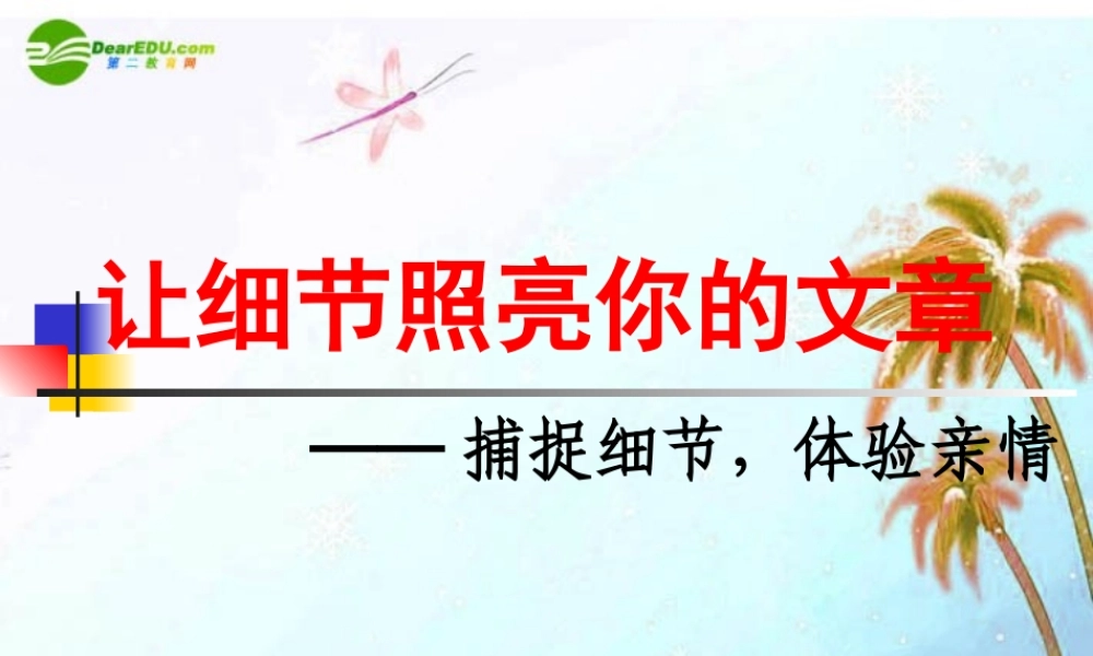 中考语文作文辅导课件 让细节照亮你的文章 课件