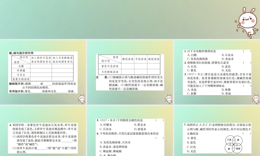 九年级化学下册 第十单元 酸和碱 课题1 常见的酸和碱 第1课时 酸碱指示剂习题课件 (新版)新人教版 课件