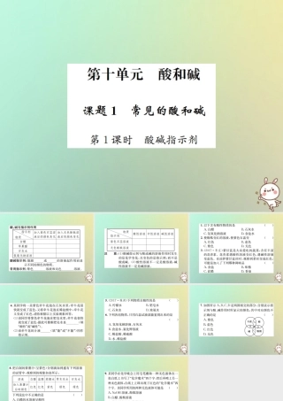 九年级化学下册 第十单元 酸和碱 课题1 常见的酸和碱 第1课时 酸碱指示剂习题课件 (新版)新人教版 课件