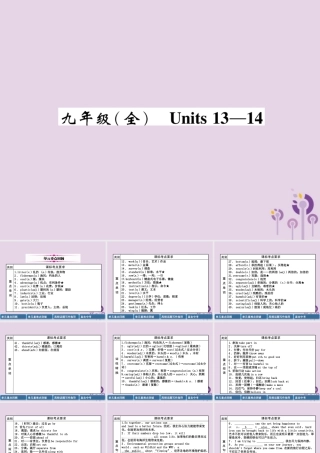 中考英语总复习 第一篇 教材知识梳理篇 九全 Units 13 14(精讲)课件