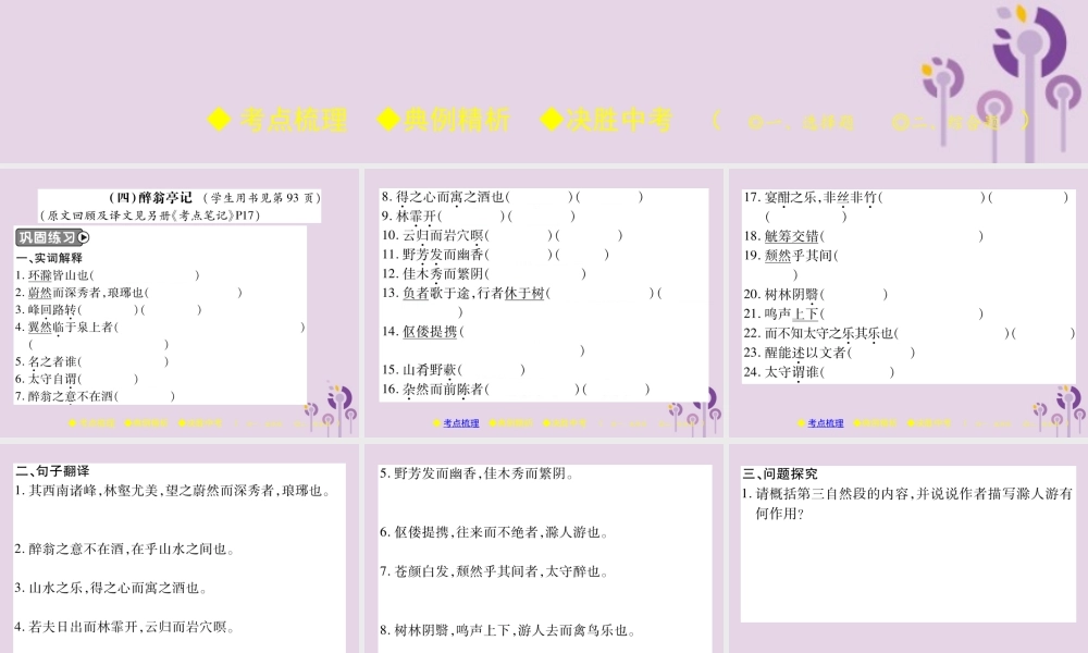 中考语文复习 第二部分 古诗文积累与阅读 专题二 文言文(四)(醉翁亭记)课件