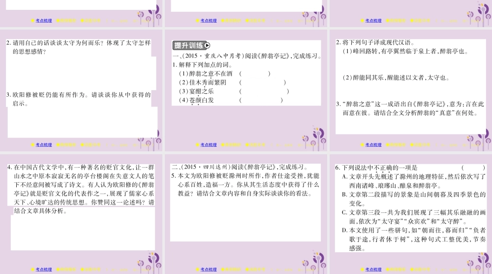 中考语文复习 第二部分 古诗文积累与阅读 专题二 文言文(四)(醉翁亭记)课件