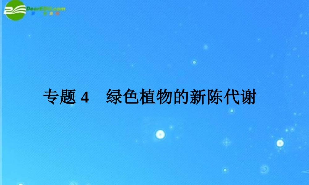 中考科学复习课件 专题4　绿色植物的新陈代谢 浙教版 课件