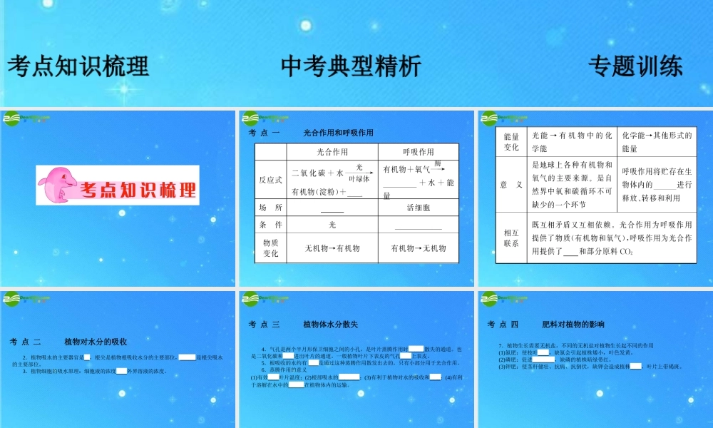 中考科学复习课件 专题4　绿色植物的新陈代谢 浙教版 课件