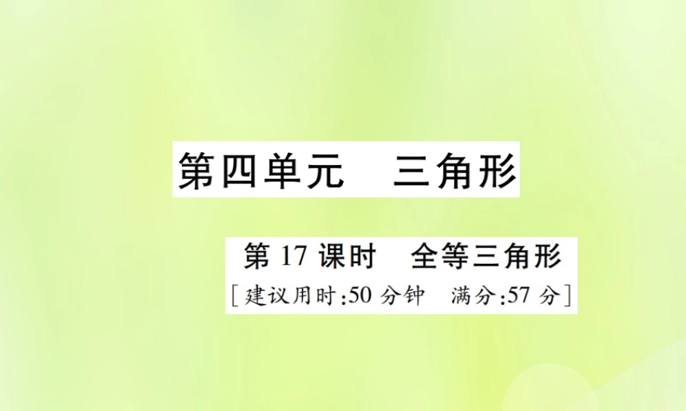 中考数学总复习 第四单元 三角形 第17课时 全等三角形(高效集训本)课件