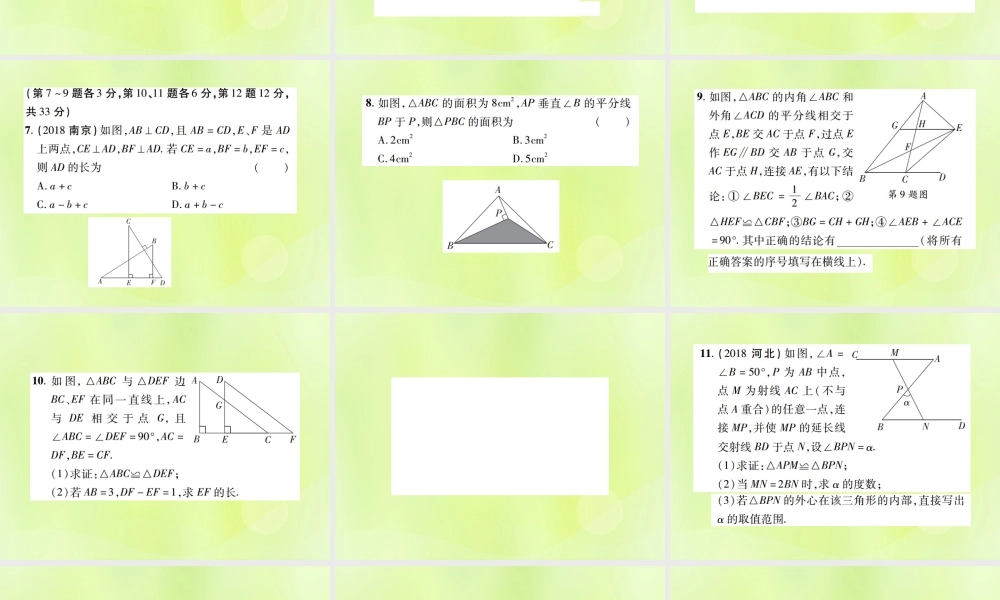 中考数学总复习 第四单元 三角形 第17课时 全等三角形(高效集训本)课件