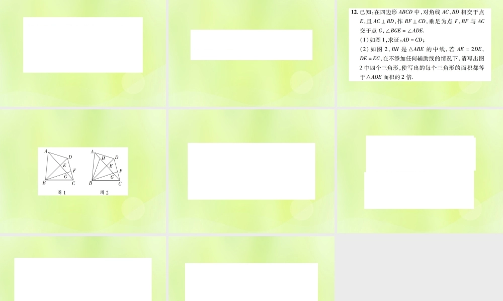 中考数学总复习 第四单元 三角形 第17课时 全等三角形(高效集训本)课件