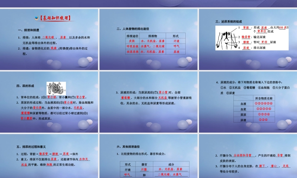 中考生物一轮复习 第四单元 第五章 人体内废物的排出课件 新人教版 课件