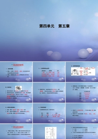 中考生物一轮复习 第四单元 第五章 人体内废物的排出课件 新人教版 课件
