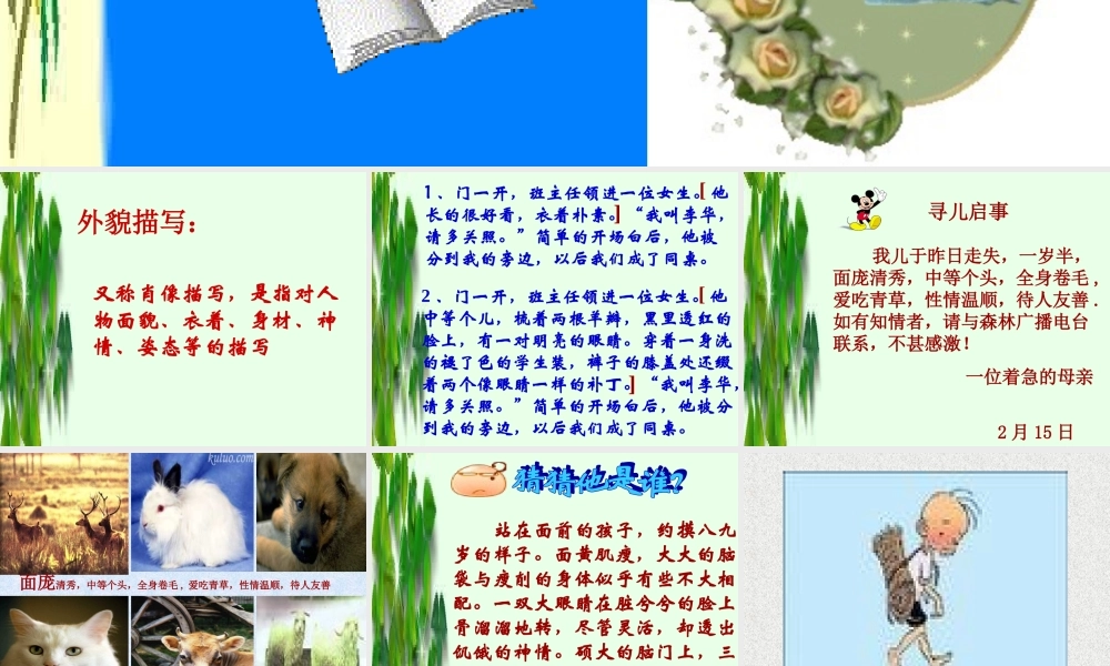 中考语文外貌描写课件