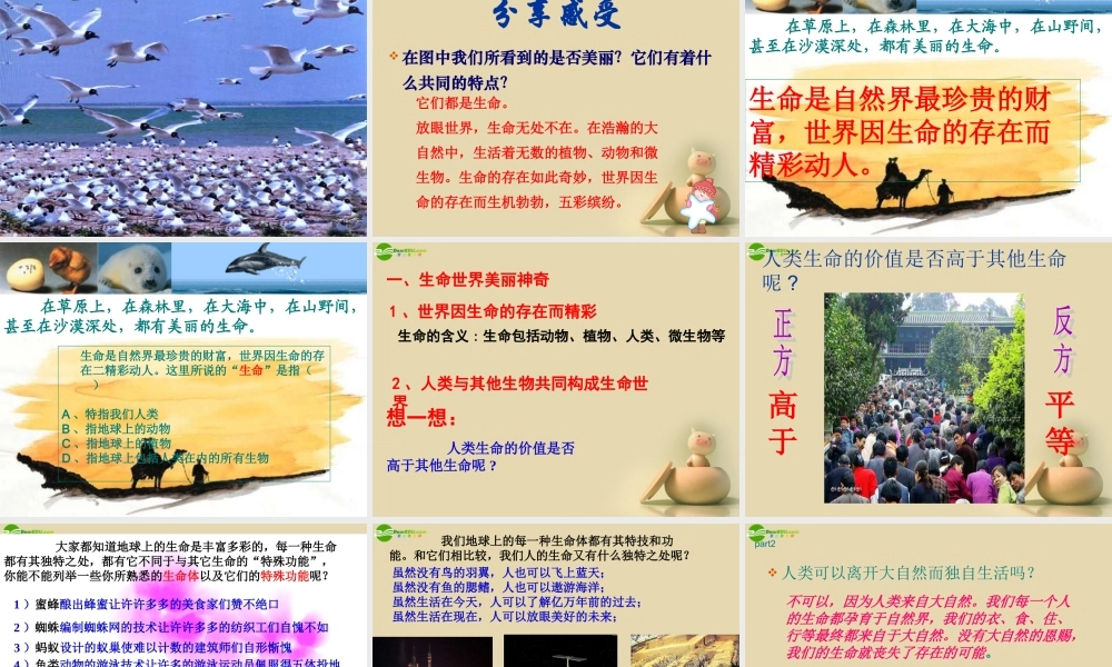 七年级政治下册 第五单元 人生多彩5.1 生命宝贵课件 粤教版 课件