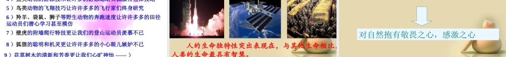 七年级政治下册 第五单元 人生多彩5.1 生命宝贵课件 粤教版 课件