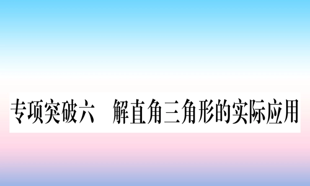 (甘肃专用)中考数学 第二轮 中档题突破 专项突破6 解直角三角形的实际应用作业课件