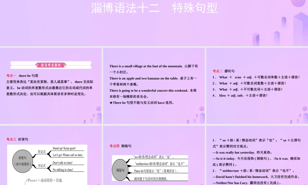中考英语复习 语法十二 特殊句型课件
