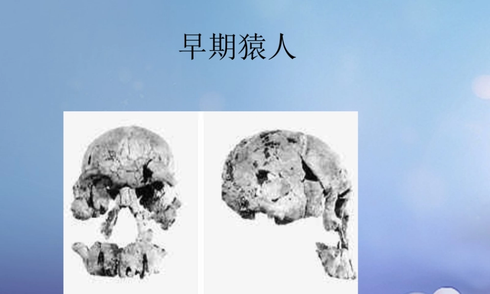 九年级历史上册 第1课 人类的形成与文明的曙光素材3 川教版 素材