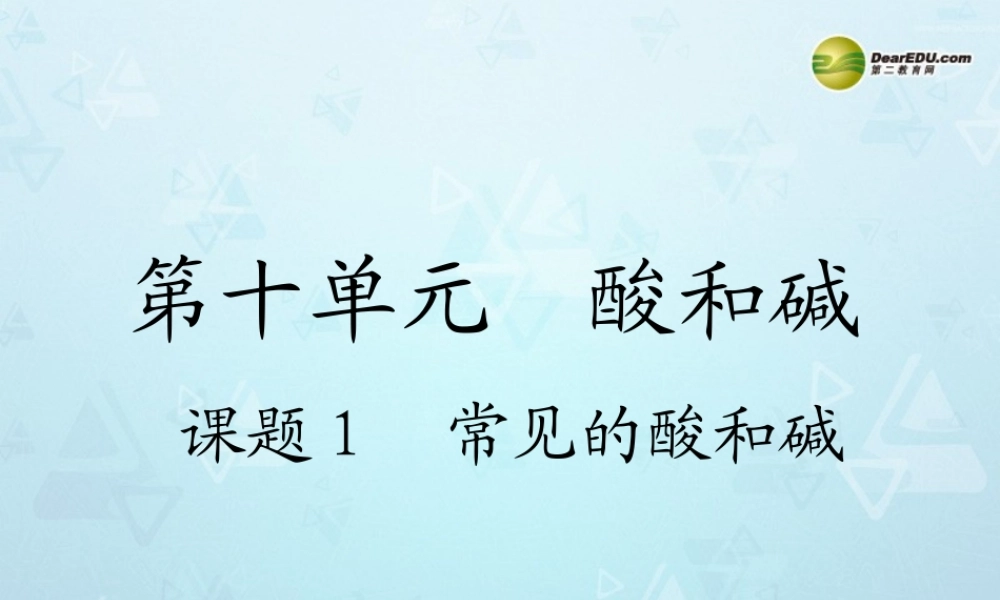 九年级化学下册 第10单元 课题1 常见的酸和碱课件 新人教版 课件