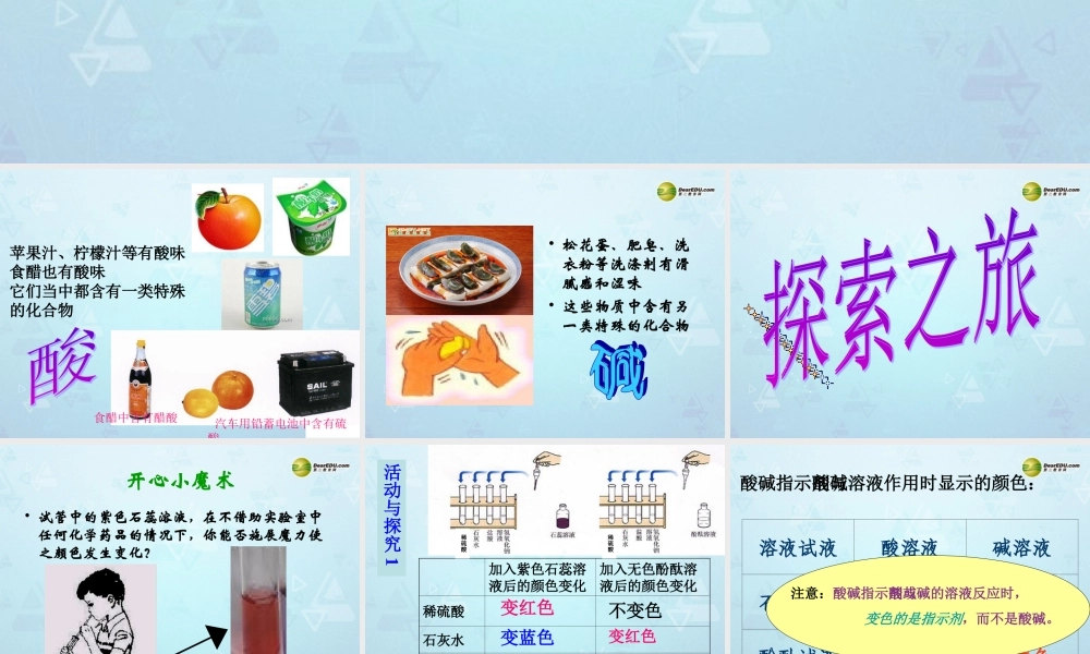 九年级化学下册 第10单元 课题1 常见的酸和碱课件 新人教版 课件