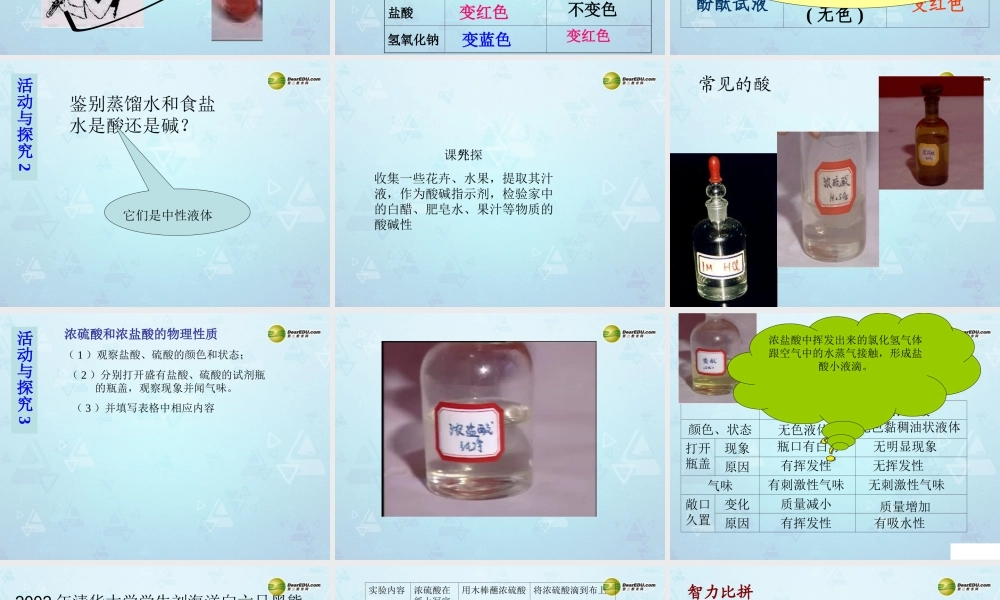 九年级化学下册 第10单元 课题1 常见的酸和碱课件 新人教版 课件