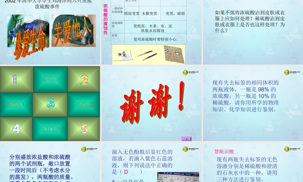 九年级化学下册 第10单元 课题1 常见的酸和碱课件 新人教版 课件