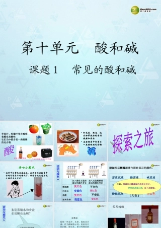 九年级化学下册 第10单元 课题1 常见的酸和碱课件 新人教版 课件