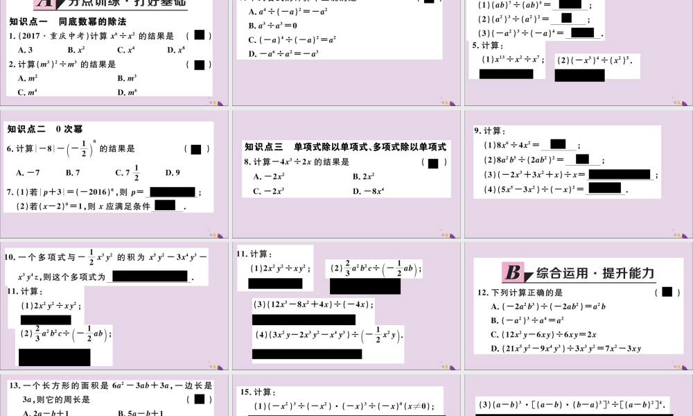 (通用)秋八年级数学上册 14.1 整式的乘法 14.1.4 第3课时 整式的除法习题讲评课件 (新版)新人教版 课件