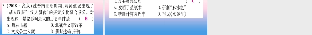 (甘肃专用)中考历史总复习 第一篇 考点系统复习 板块一 中国古代史 主题三 政权分立与民族融合(精讲)课件