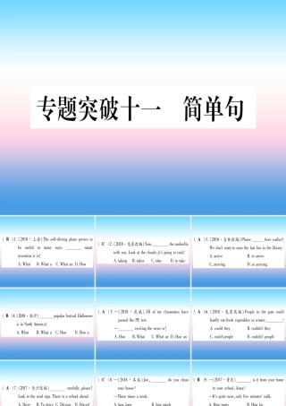 (湖北专用版)版中考英语专题高分练 专题突破十一 简单句实用课件