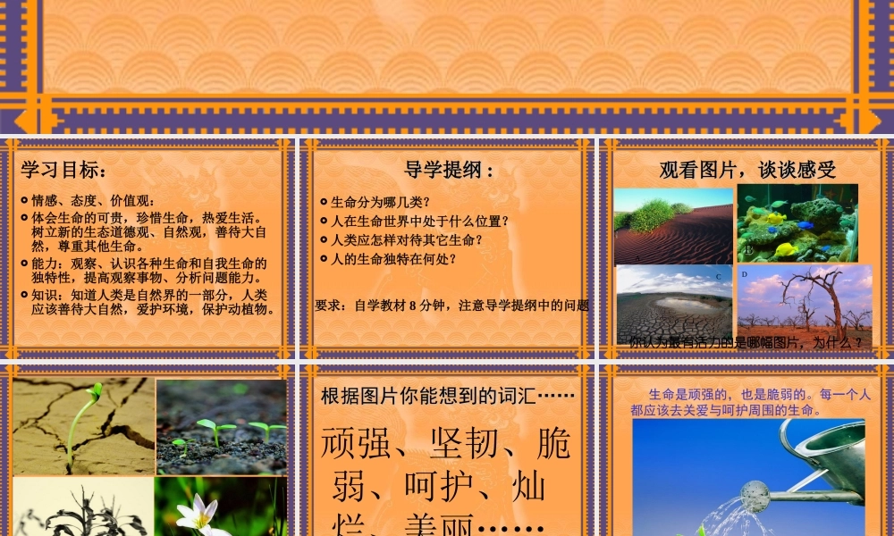 七年级政治精彩独特的生命课件人教版 课件