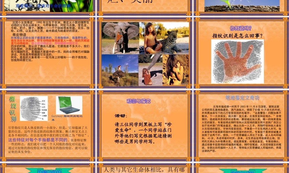 七年级政治精彩独特的生命课件人教版 课件