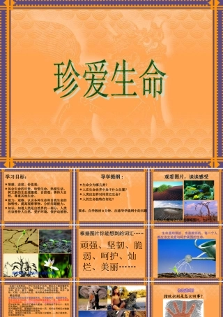 七年级政治精彩独特的生命课件人教版 课件