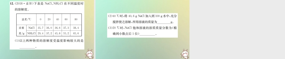 九年级化学下册 第九单元 溶液 滚动小专题(二)溶解度和溶质的质量分数习题课件 (新版)新人教版 课件