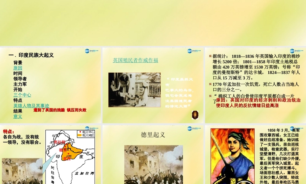 九年级历史上册(第五单元 第16课 殖民地人民的抗争)课件 新人教版 课件