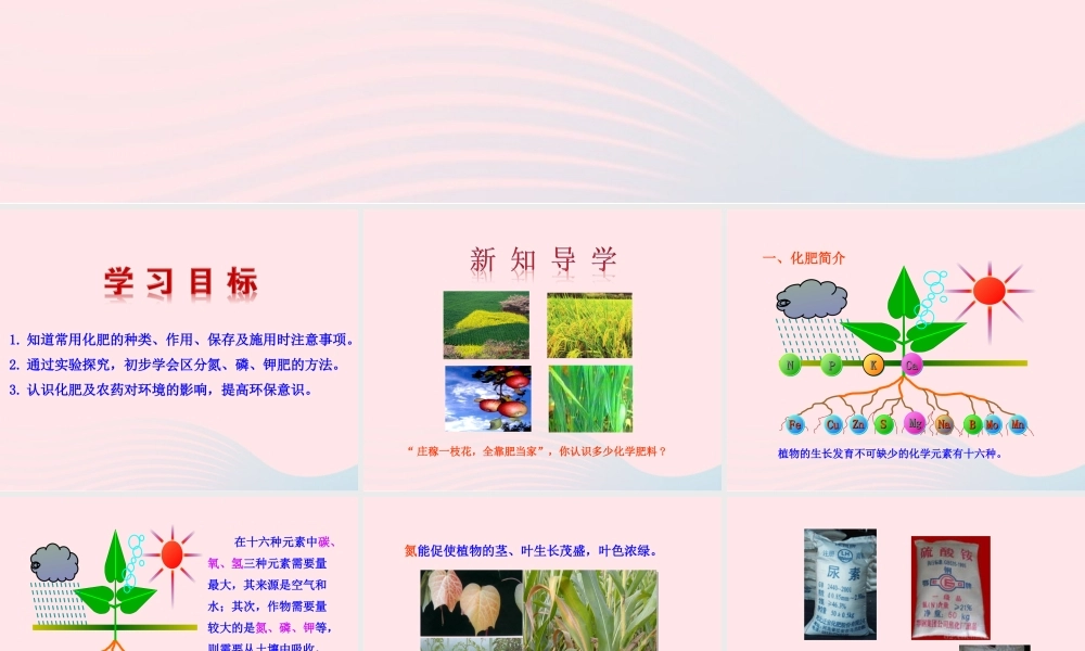 九年级化学下册 第十一单元 盐 化肥 课题2 化学肥料课件 新人教版 课件