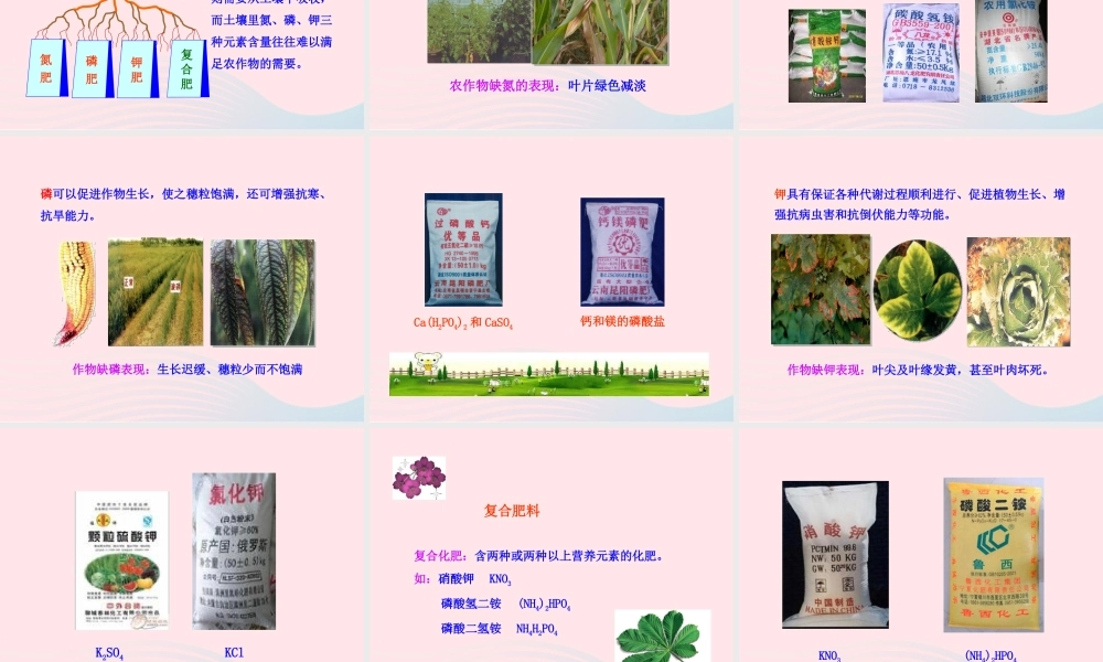 九年级化学下册 第十一单元 盐 化肥 课题2 化学肥料课件 新人教版 课件