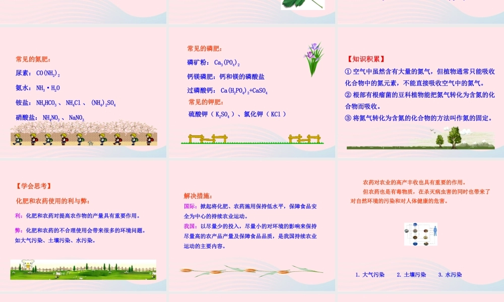 九年级化学下册 第十一单元 盐 化肥 课题2 化学肥料课件 新人教版 课件