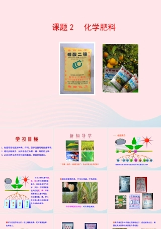 九年级化学下册 第十一单元 盐 化肥 课题2 化学肥料课件 新人教版 课件
